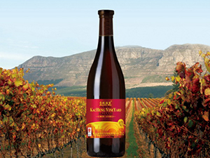 卡城酒堡華南辦