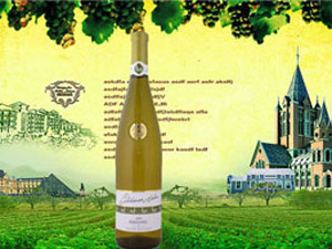 �B�T(m��n)�������Q(m��o)�����޹�˾