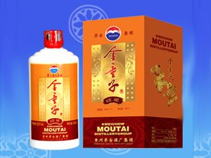 ���ڴ����F���Q(m��o)�����޹�˾