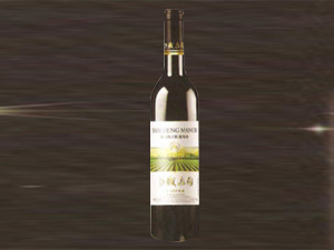 ɳ�ǂ������ѾƘI