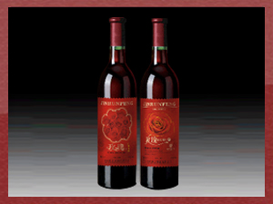 ���_���S�������޹�˾