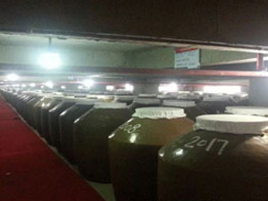 ȫ���(zh��n)�Ͷ����Ͼ�Ʒ���\�I����