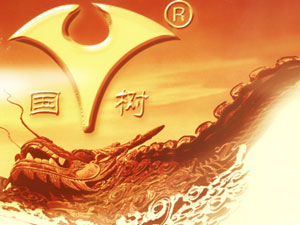 ɽ�|����ƘI���޹�˾