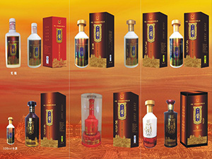 �o���Ͻ������u��