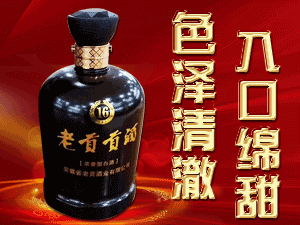 安徽省亳州市老貢酒業(yè)