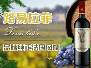 ·�����ƾƘI���Ϻ������޹�˾