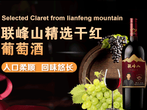 �ӱ�(li��n)��ɽ�ƘI(y��)���޹�˾