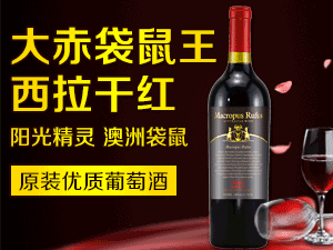 ���W�T���H�Q�����޹�˾