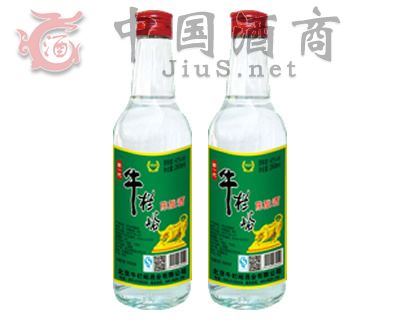 ţ������NLY-019